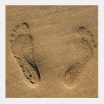 pedicure-den-dungen_c